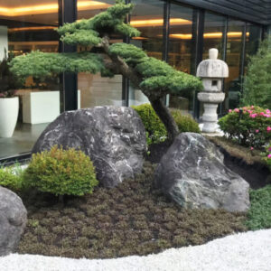 طراحی و اجرای پلان باغ و باغچه ژاپنی انواع گیاهان