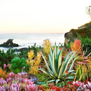 طراحی و اجرای انواع نمونه سبک باغ و باغچه ساحلی با ایده های نوع پوشش گیاهی